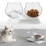 Orthopedic Cat Bowl