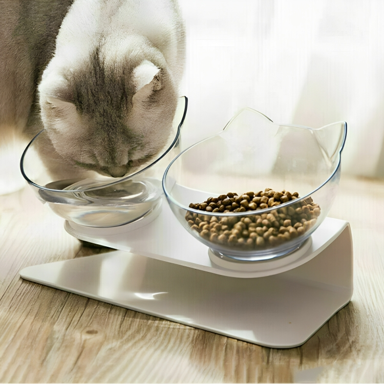 Orthopedic Cat Bowl